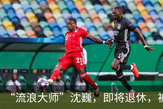 “流浪大师”沈巍，即将退休，被封号