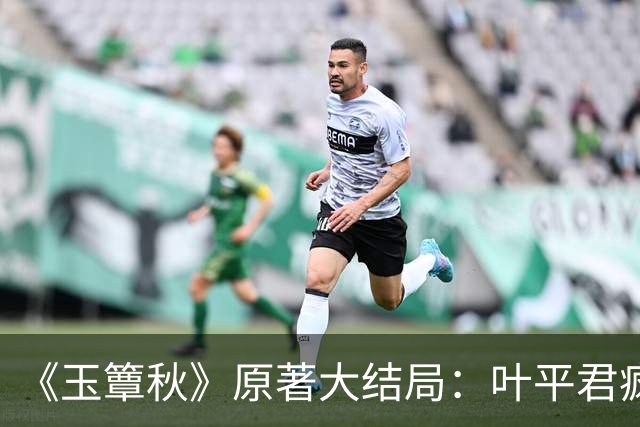 《玉簟秋》原著大结局：叶平君疯了，虞昶轩的孩子被自己亲手处决