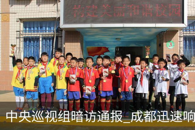 中央巡视组暗访通报 成都迅速响应立案拟顶格处罚