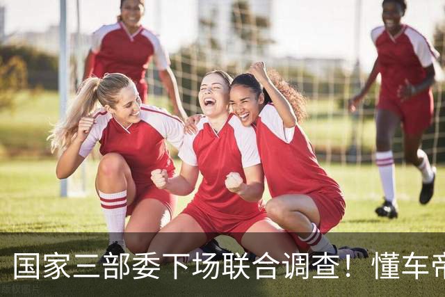 国家三部委下场联合调查！懂车帝和尊界V800这一波，我又判断准了