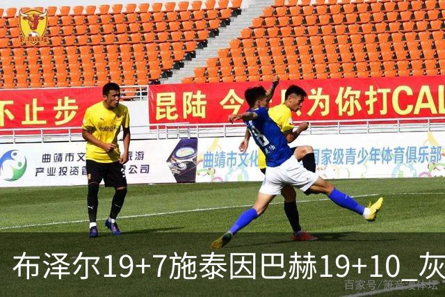 布泽尔19+7施泰因巴赫19+10 灰熊主场大胜黄蜂