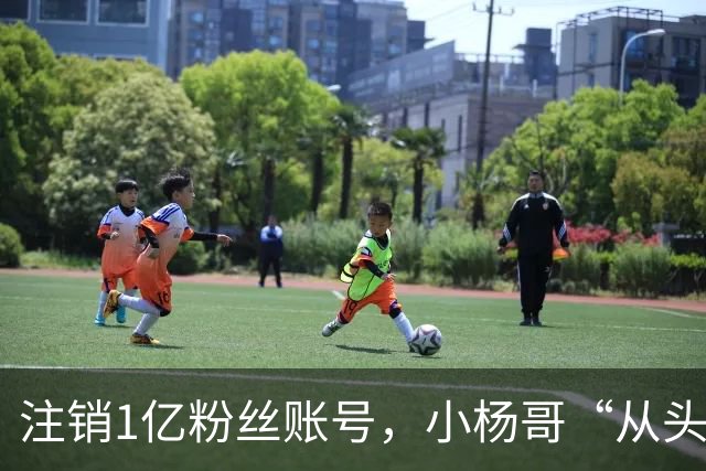 注销1亿粉丝账号，小杨哥“从头再来”