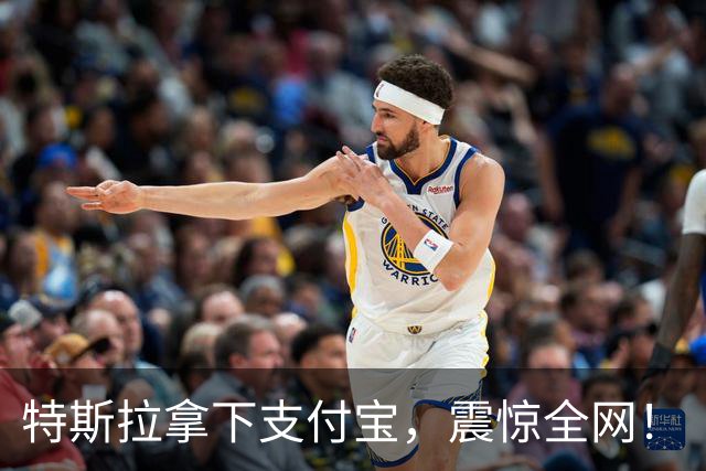 特斯拉拿下支付宝，震惊全网！