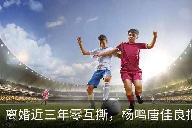 离婚近三年零互撕，杨鸣唐佳良把"不再回应"做成了防火墙