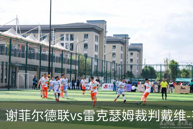 谢菲尔德联vs雷克瑟姆裁判戴维-韦伯数据：近20场0红54黄3点